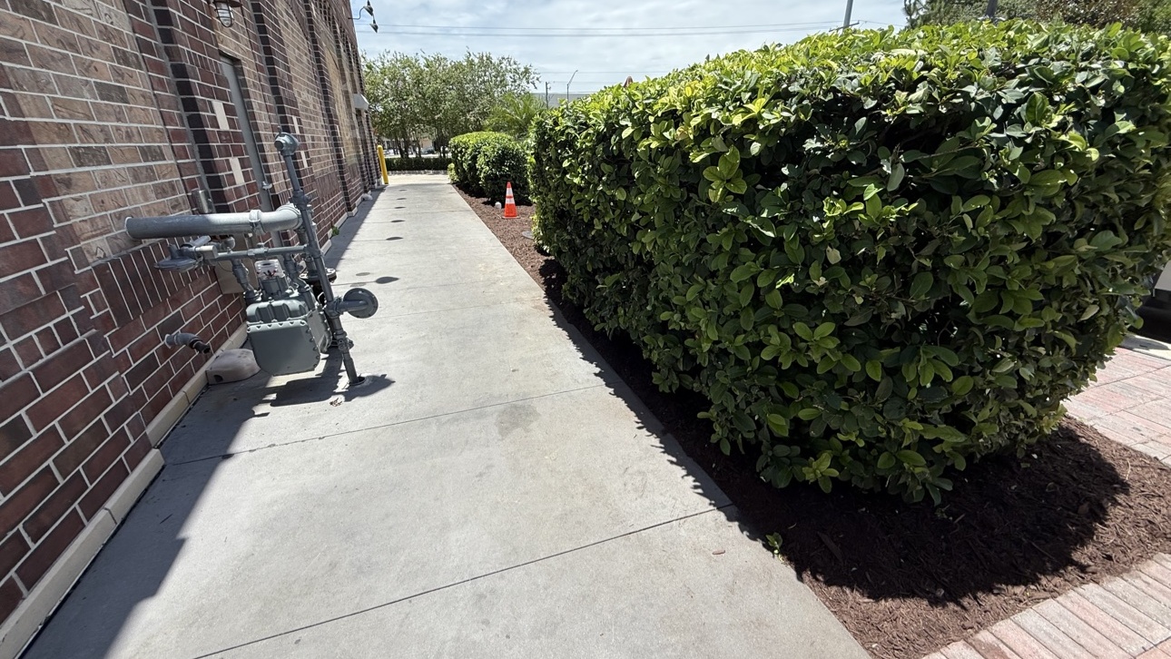 Manicured hedges outside a Portillo's restaurant
