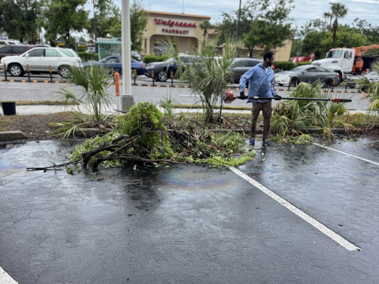Flamingo crew trimming landscaping outside a Walgreens
